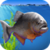 Piranha Aquarium 3D