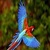 Exotic Animals Wallpapers in High Quality Pictures
