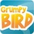 Grumpy Bird