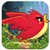 Andro Bird Game