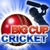 Big Cup Cricket
