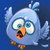 oiseaux Buzzz