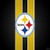 Pittsburgh Steelers Fan
