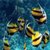 Beautiful Coral Deep Blue Sea Images