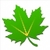 Greenify general