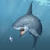 Shark Invasion