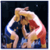 Rules of Wrestling