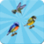 Small Birds Memory Game Free