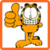 Touch Garfield