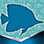Fish Crop Photo Editor
