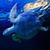 Turtle Underwater Live Wallpaper
