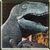 Tyrannosaur Dinosaur