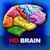 3D Brain ANATOMY