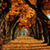 Fall Wallpaper Live