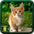 Free Download Cats Wallpaper