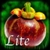 Superfood HD Lite