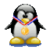 Tux Tux Racing