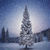 Nice Fur tree in winter Wallpaper