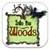 Into The Woods Quiz