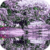 Awesome Lilac Tree Live Wallpaper