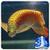 Real Arowana Live Wallpaper
