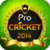 Professional Cricket-2014