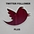 Twiiter Followers plus