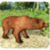 Angry Bear Wild Attack