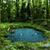 Magic Pond Live Wallpaper