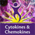 Cytokines and Chemokines
