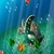 Sea Turtle Aquarium Live Wallpaper