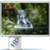 Waterfall Nature Live Wallpaper VD