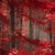 Enchanted Forest Live Wallpaper