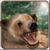 Wild Animal Bear Simulator 3D