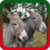 Donkey Ringtones