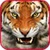 Angry Tigers