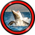 Shark Live Wallpapers Best