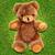 TeddyBear