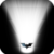 Bat Torch