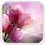 Pink Roses Live Wallpaper for Android