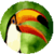 Tips for Bird Watching