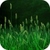 Grass 3D Live Wallpaper