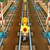 Subway Train Surfers 2023