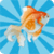 Fish Memory Game Free