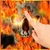 Skull on Fire Color Flame LWP free
