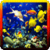 Aquarium Fish