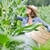 Organic Gardener App