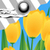 Clock Weather Widget Tulips