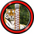 Zipper Lock Screen – Tigers