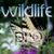 Sleepmaker Wildlife Pro
